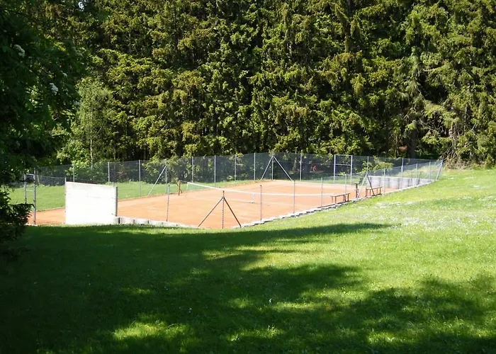 Guest house U Smrciny 3*